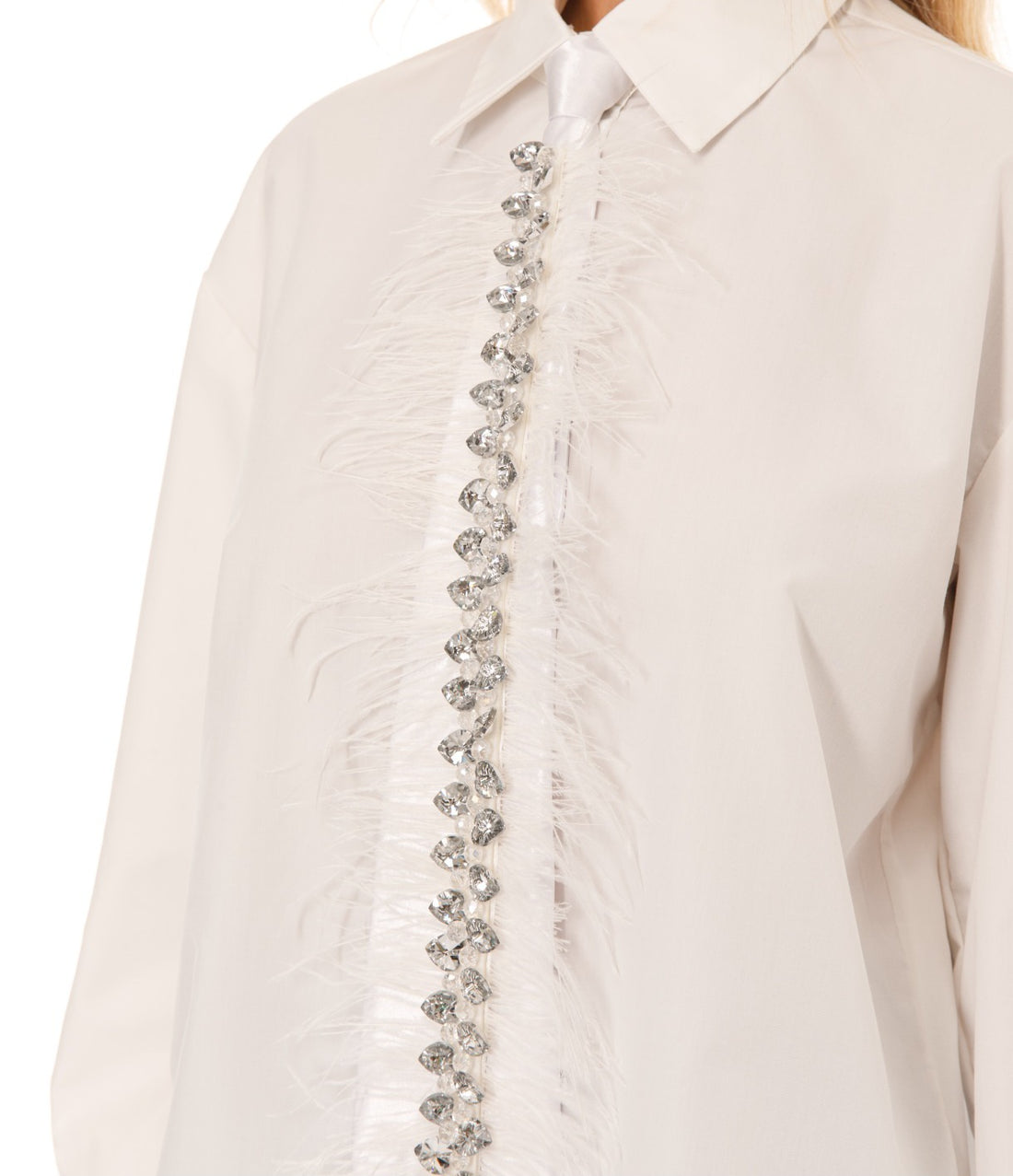 Feather & Rhinestone Tie Button Down