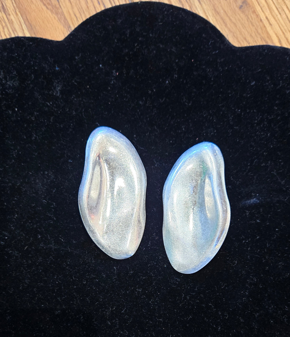 The Sleek Earrings