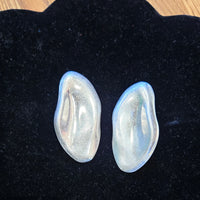 The Sleek Earrings