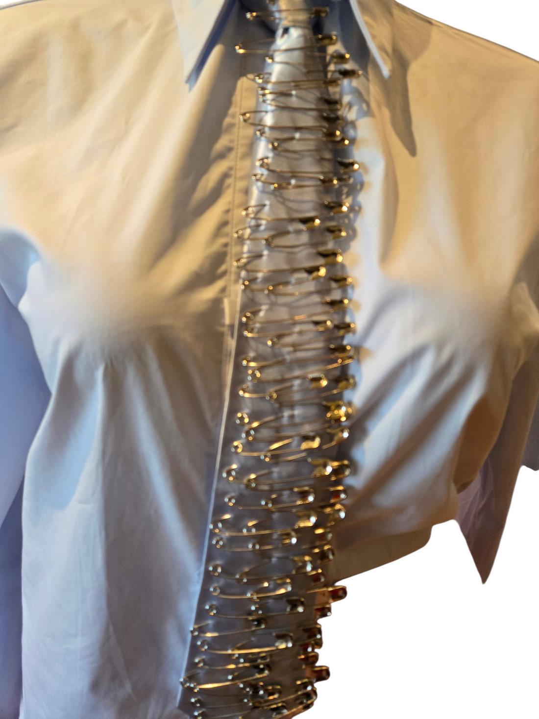 Pinned Perfection Shirt & Tie